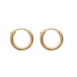 Petite créole plaqué or 12 mm fil rond 2 mm avec charnière